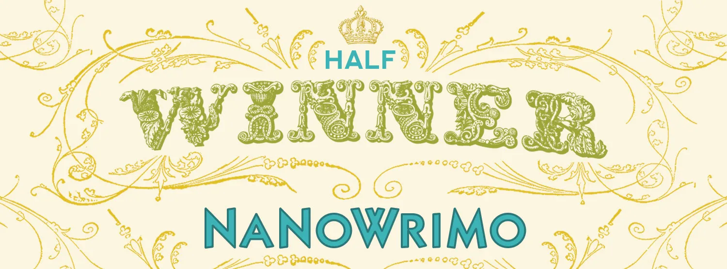 Tips about writing a Novel for NaNoWriMo