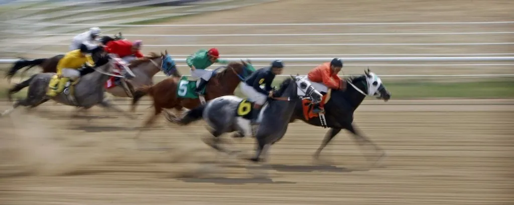horse race