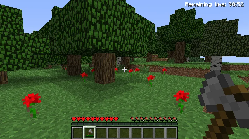 Minecraft, a metaphor of life