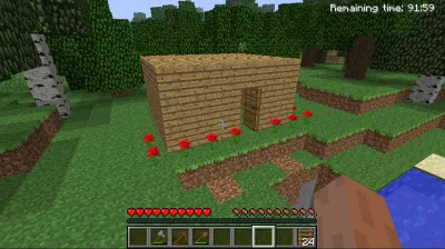 My modest house (it has no windows, but at least has some red roses in the front.