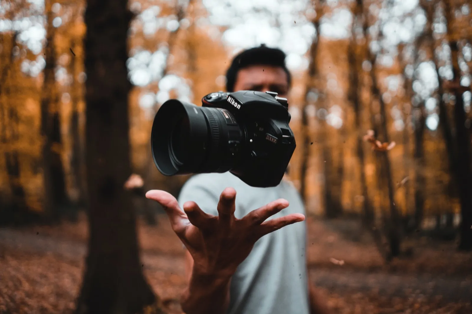 Photography, the best hobby for a developer